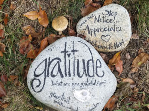 Gratitude 1