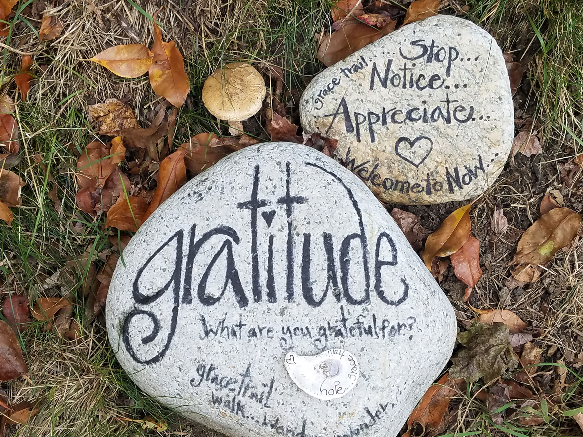 Gratitude 1